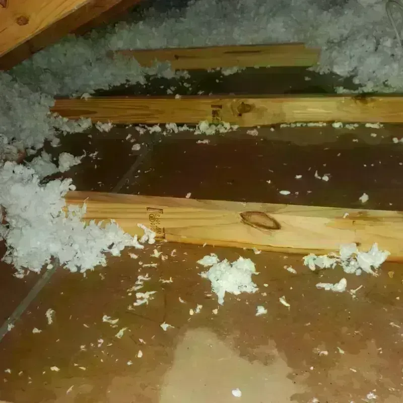 Attic Water Damage in Needville, TX